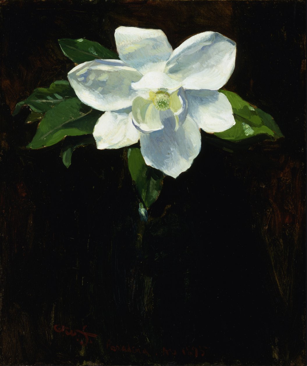 Magnolia, 1895. tekijältä Charles Walter Stetson