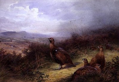 Grouse Highlandsissa tekijältä Charles Whymper
