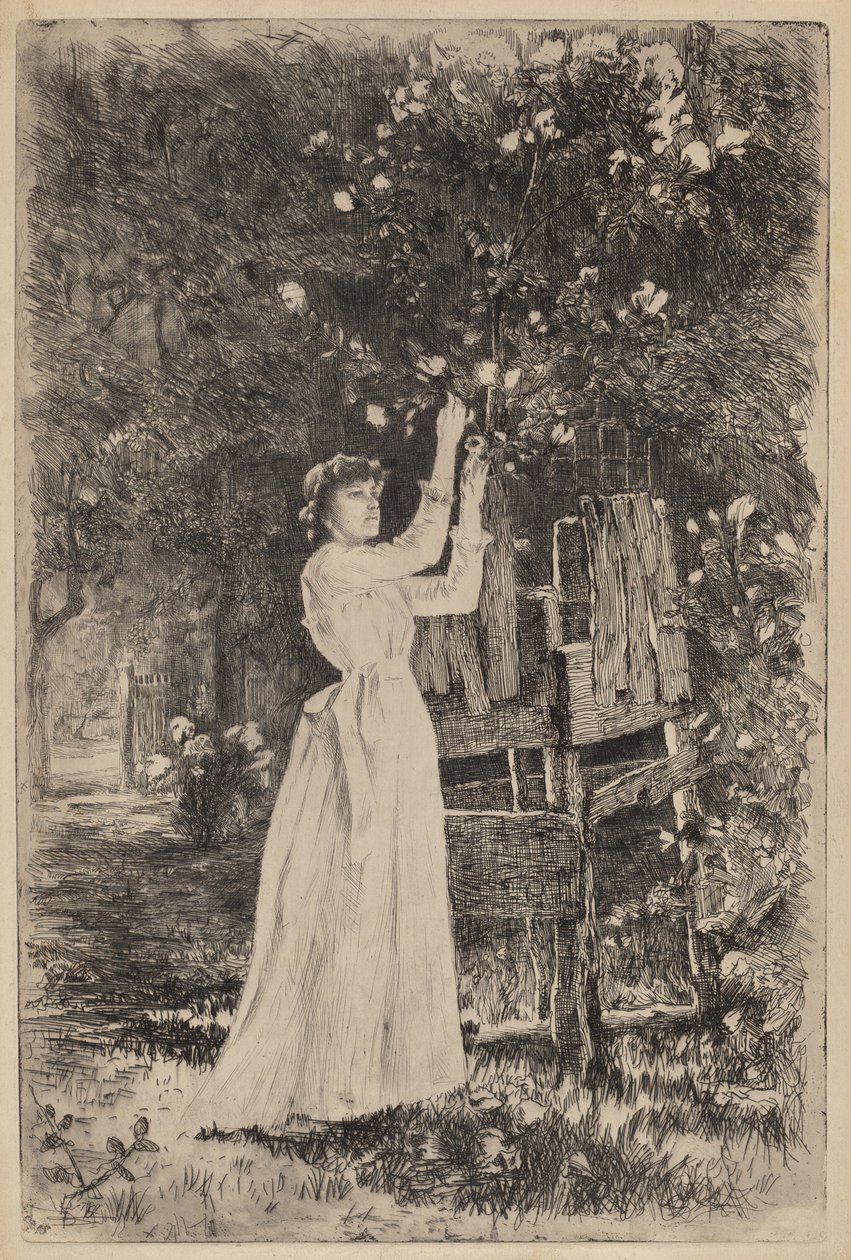 Nimetön (nainen poimii kukkia) tekijältä Charles Yardley Turner