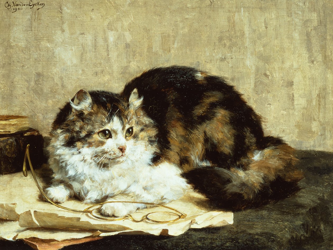 Tabby Cat tekijältä Charles van den Eycken