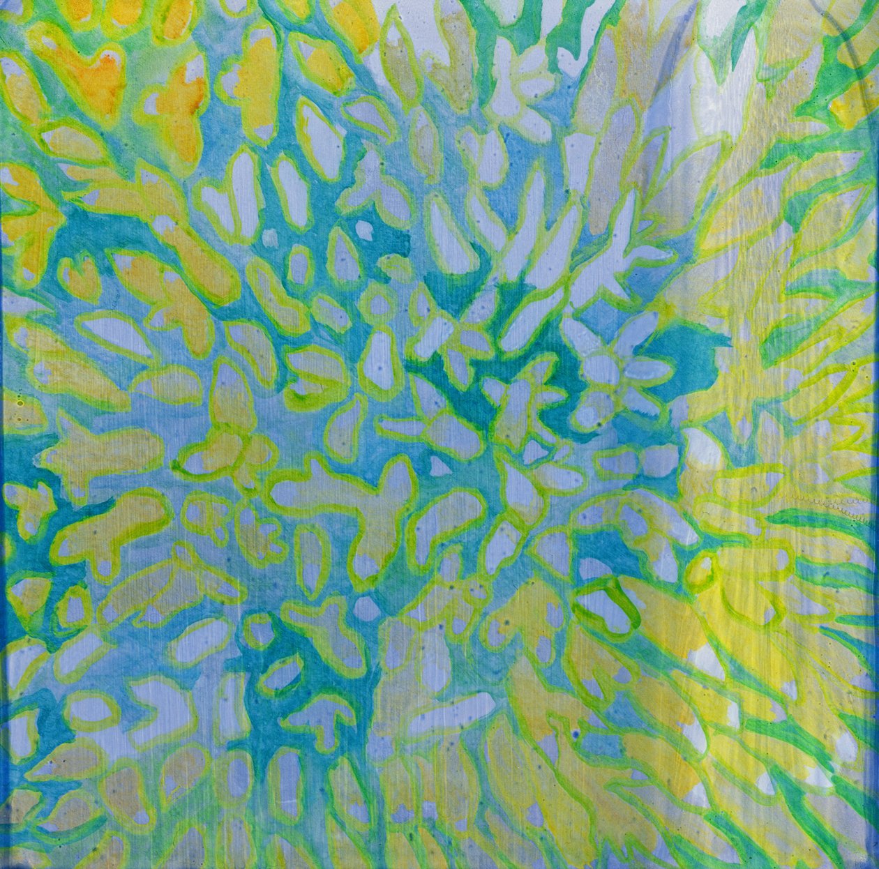 Acrapora, 2000 (öljy gessolle) tekijältä Charlotte Johnstone