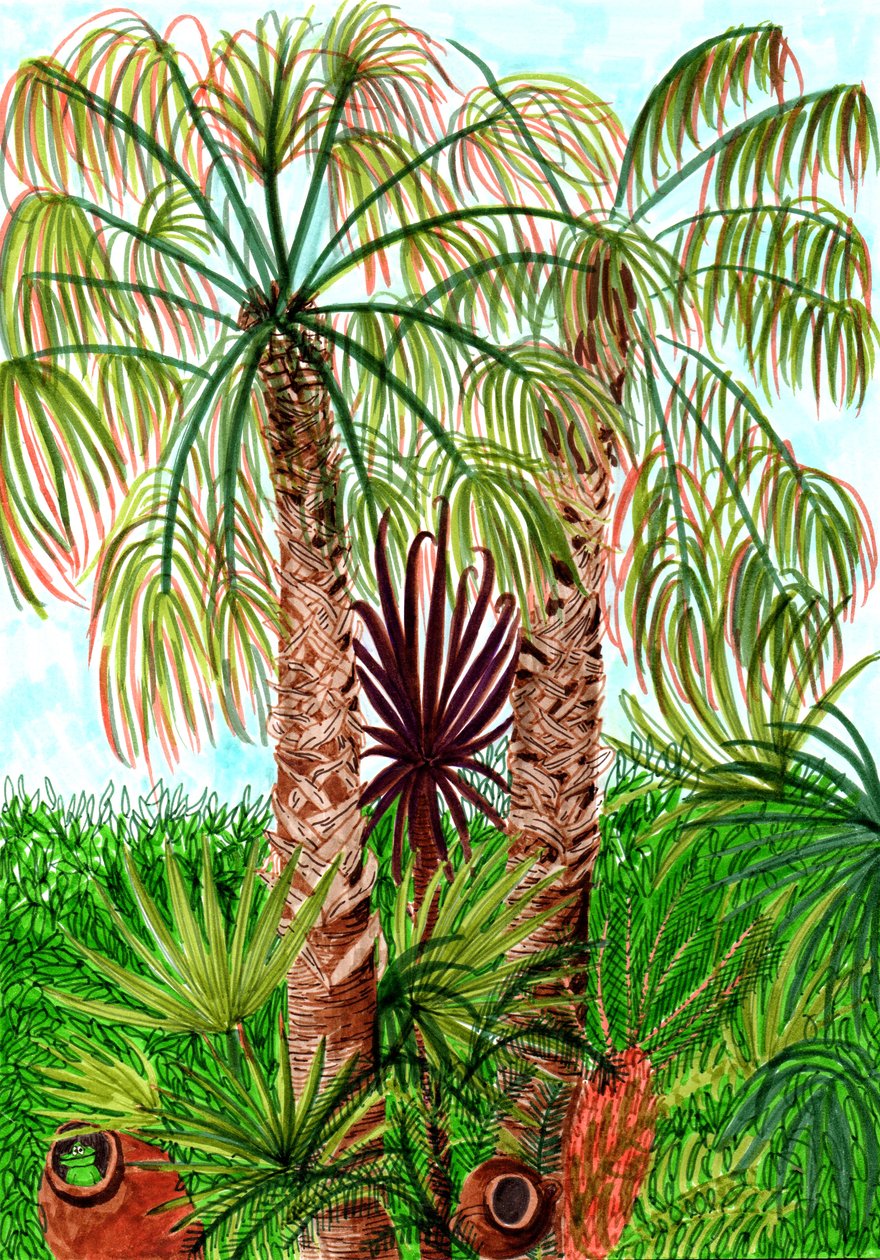 Barcelona Palms, 2017 (siveltimen kynät) tekijältä Charlotte Orr