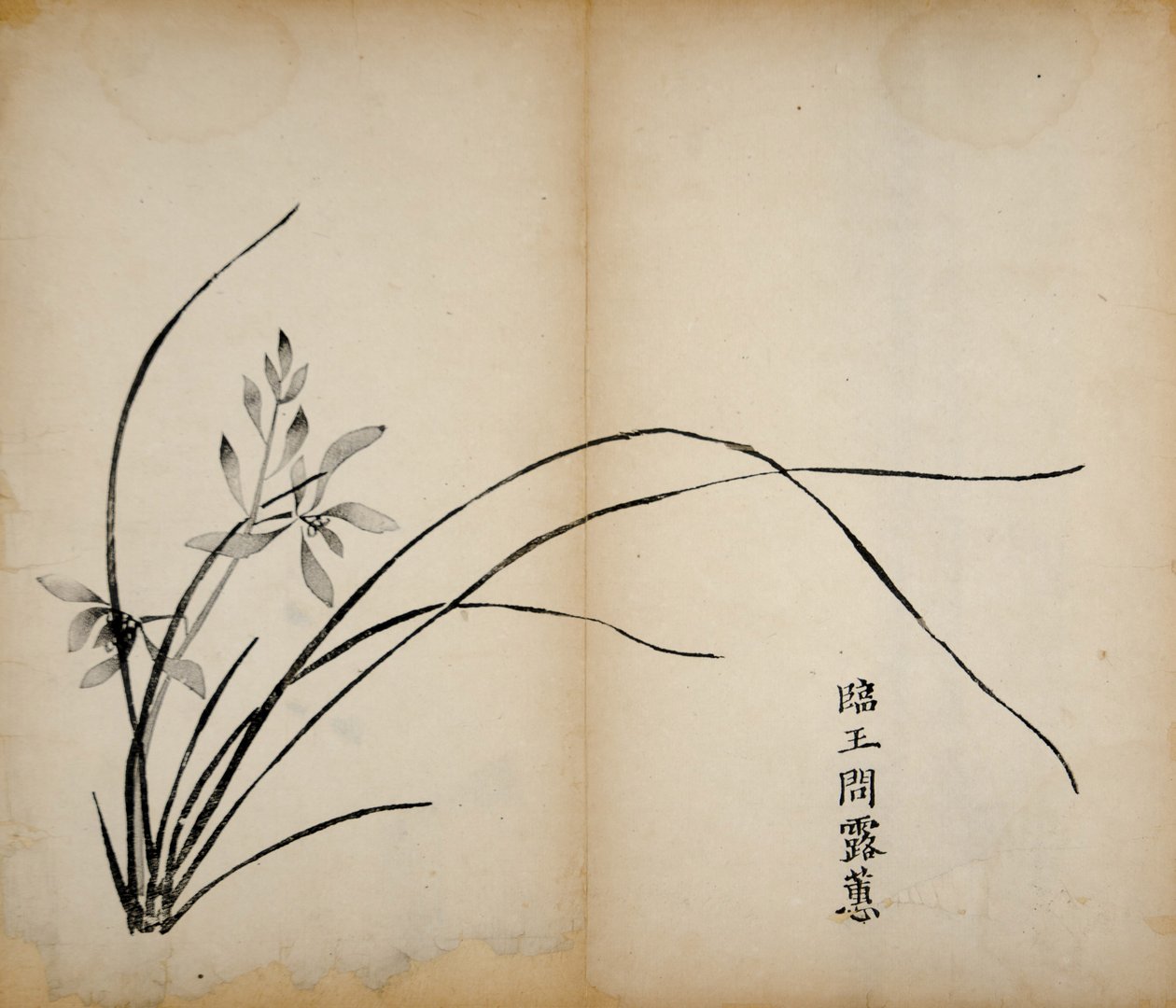 Ten Bamboo Studio Prints, 1643 (puupalikka) tekijältä Chinese School