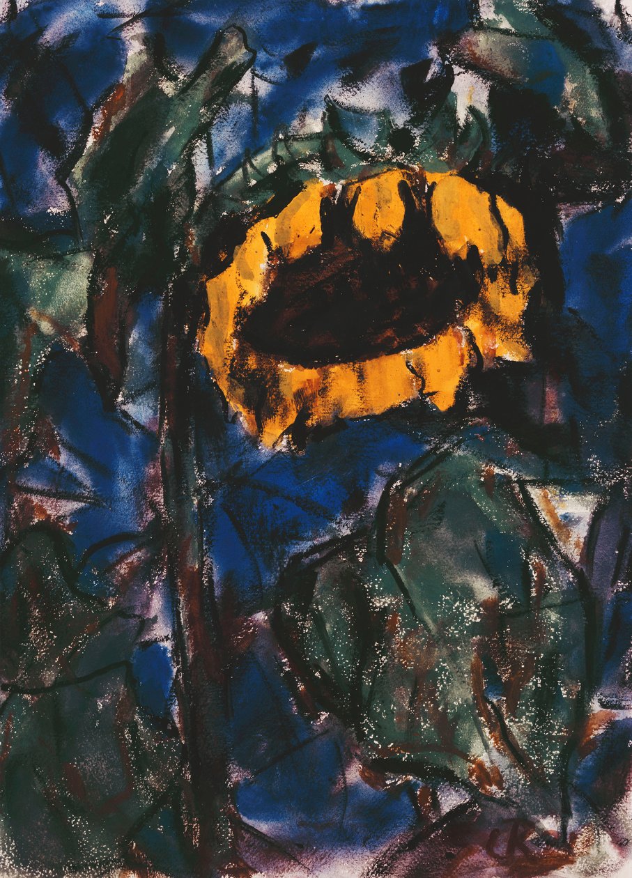 auringonkukka; auringonkukka tekijältä Christian Rohlfs