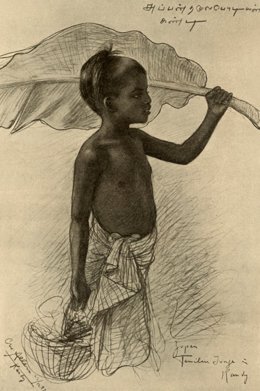 Tamilipoika, Kandy, Ceylon, 1898. tekijältä Christian Wilhelm Allers