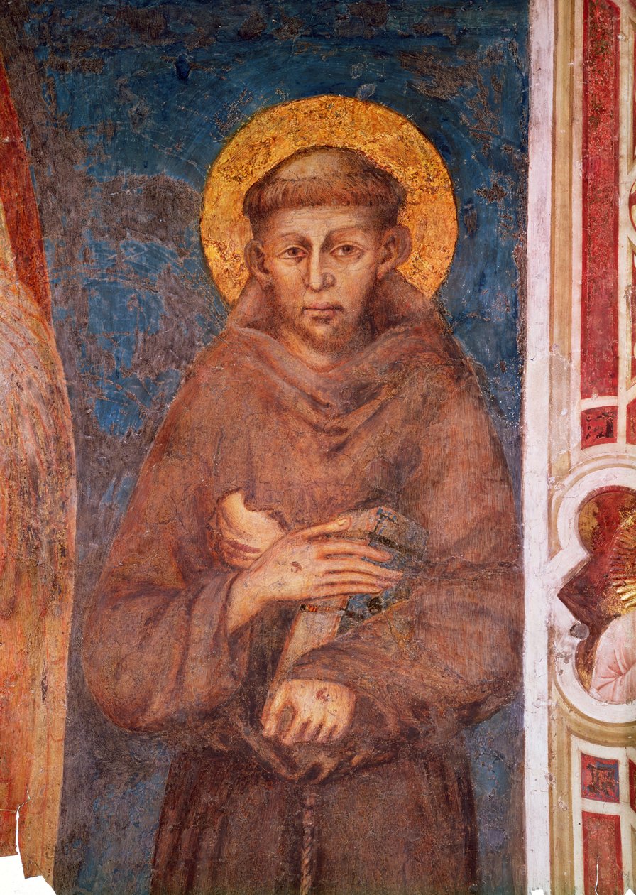 St. Francis (yksityiskohta numerosta 440729) tekijältä Giovanni Cimabue