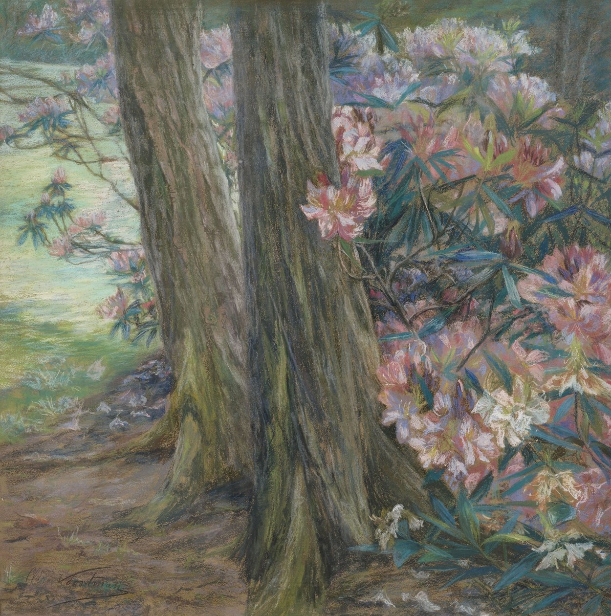 Clara Voortman Rhododendronbusch tekijältä Clara Voortman