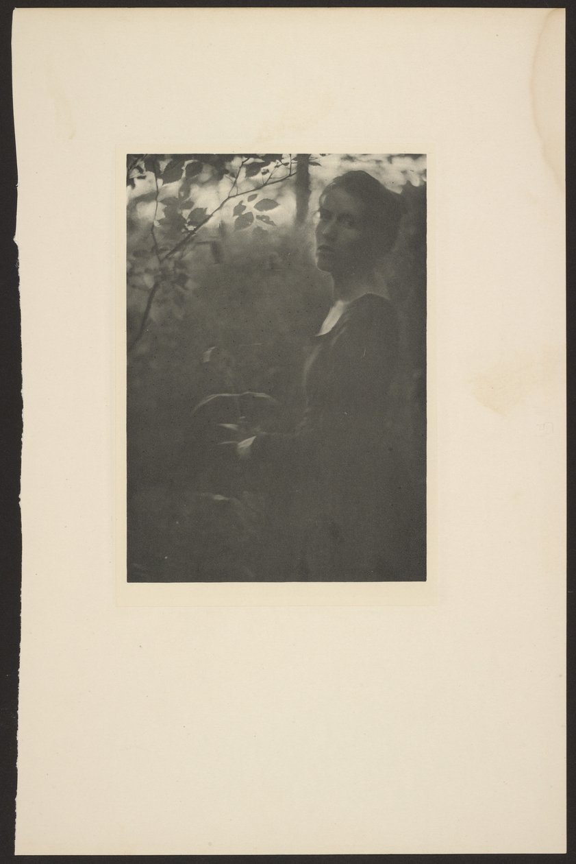 [Edge of the Woods -- Ilta] tekijältä Clarence H. White