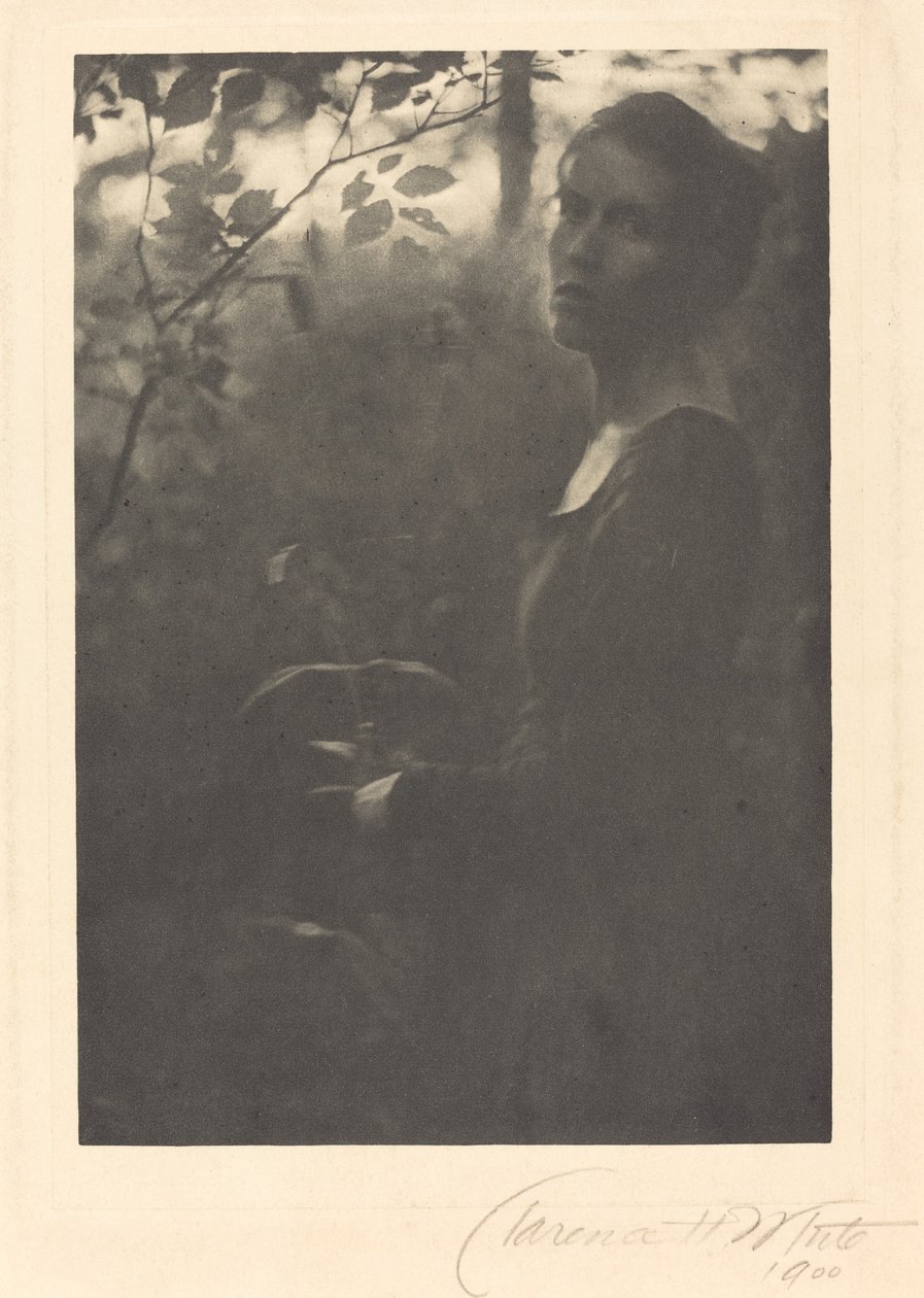 Metsän reuna, ilta tekijältä Clarence H. White