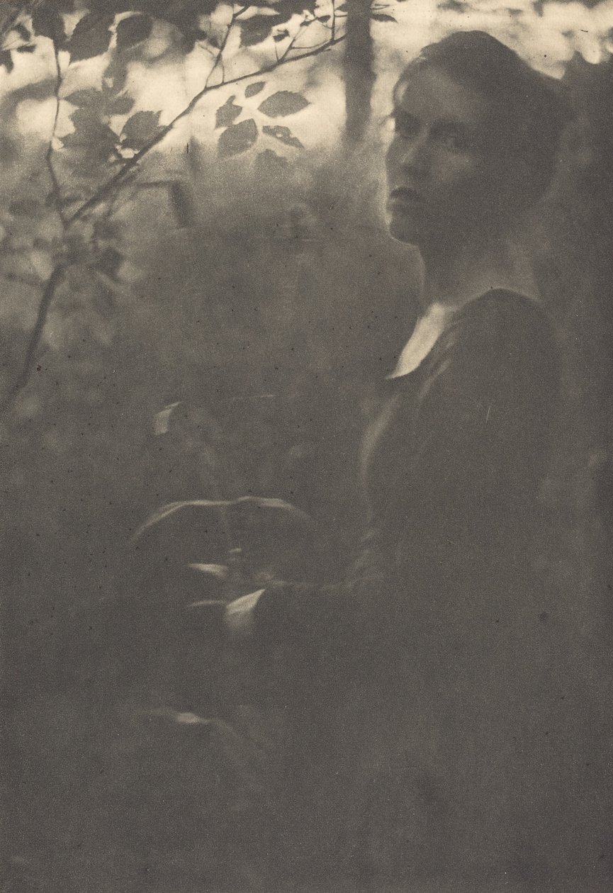 Edge of the Woods, Ilta, 1900. tekijältä Clarence H White