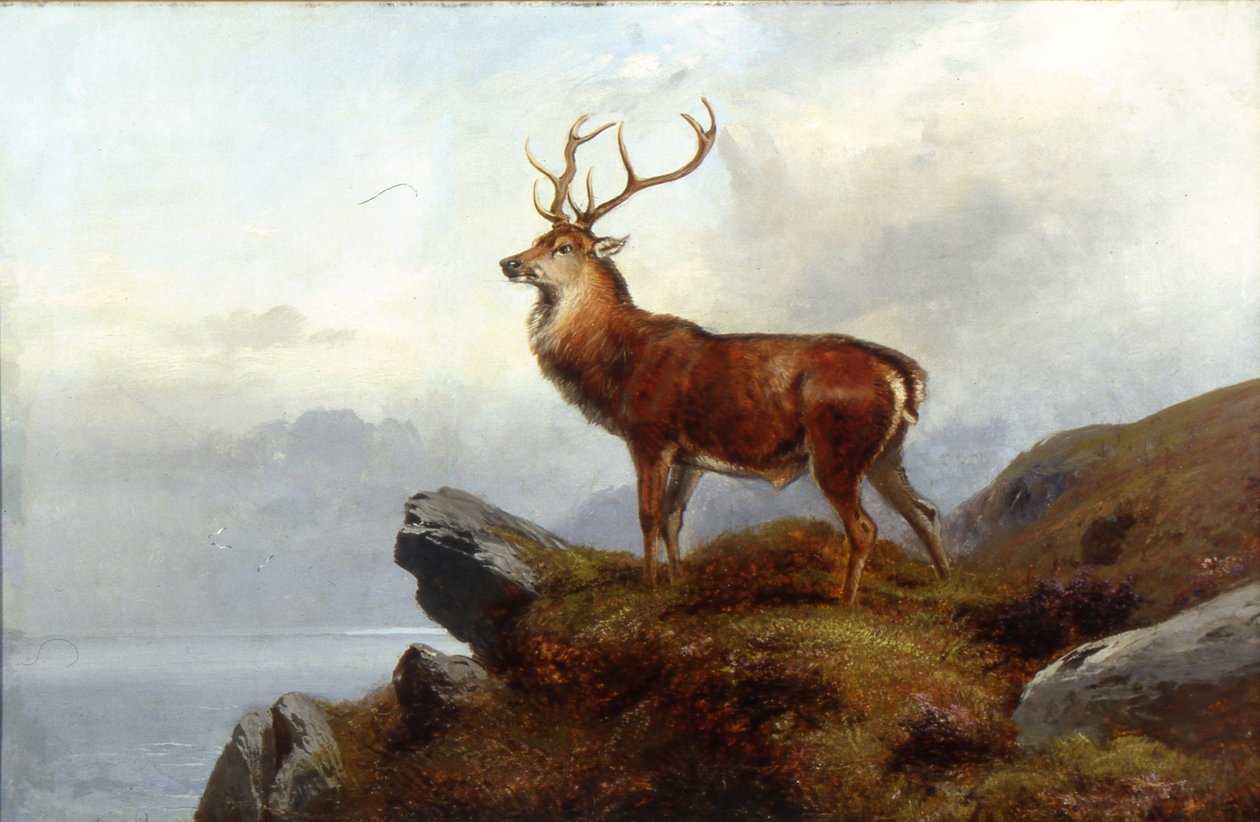 Varuillaan tekijältä Clarence Roe