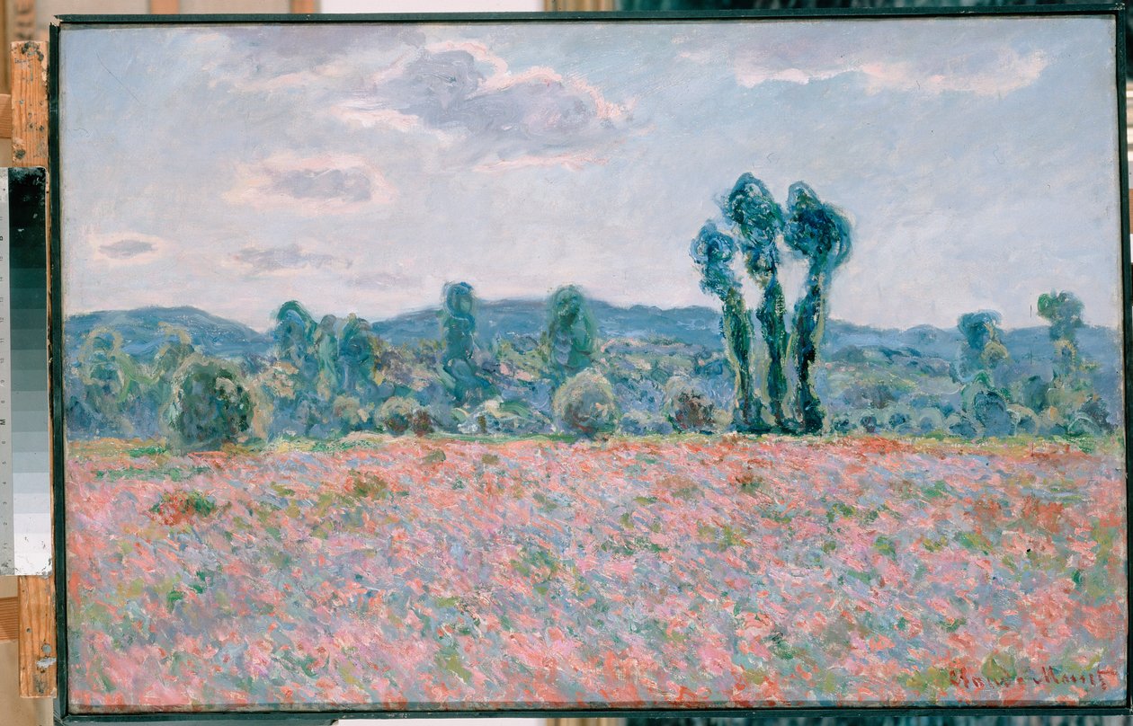 Poppy Field Polski: Pole makow tekijältä Claude Monet