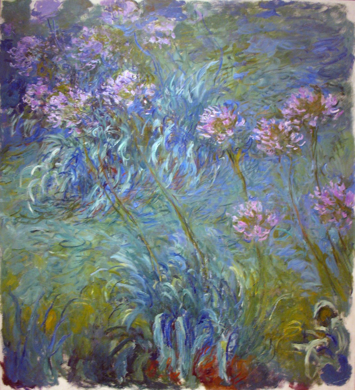 Agapanthus tekijältä Claude Monet