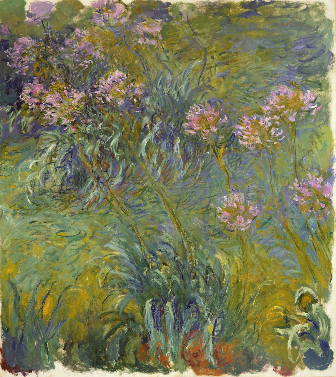 Agapanthus, 1914-26 tekijältä Claude Monet