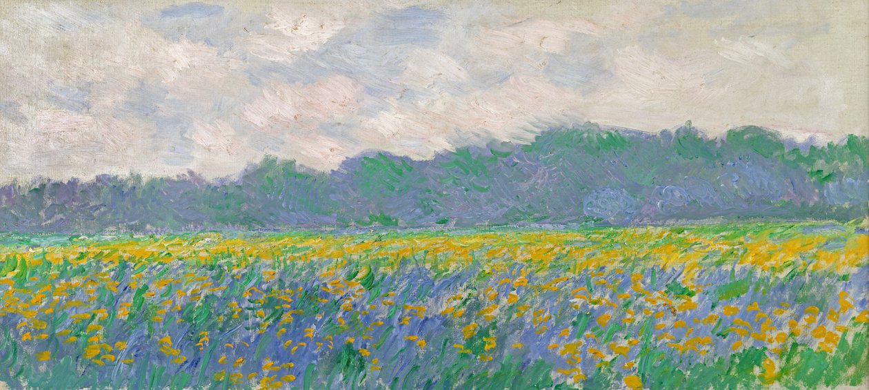 Keltaisten iiristen kenttä Givernyssä, 1887 tekijältä Claude Monet