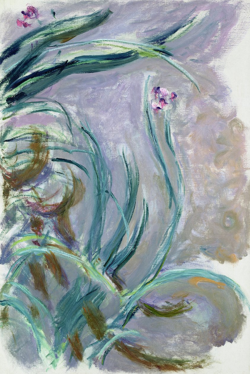 Iris, 1924-25 tekijältä Claude Monet