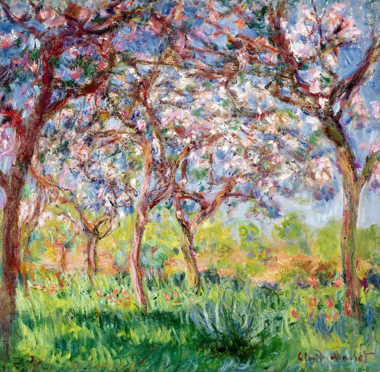 Printemps a Giverny, 1903 tekijältä Claude Monet