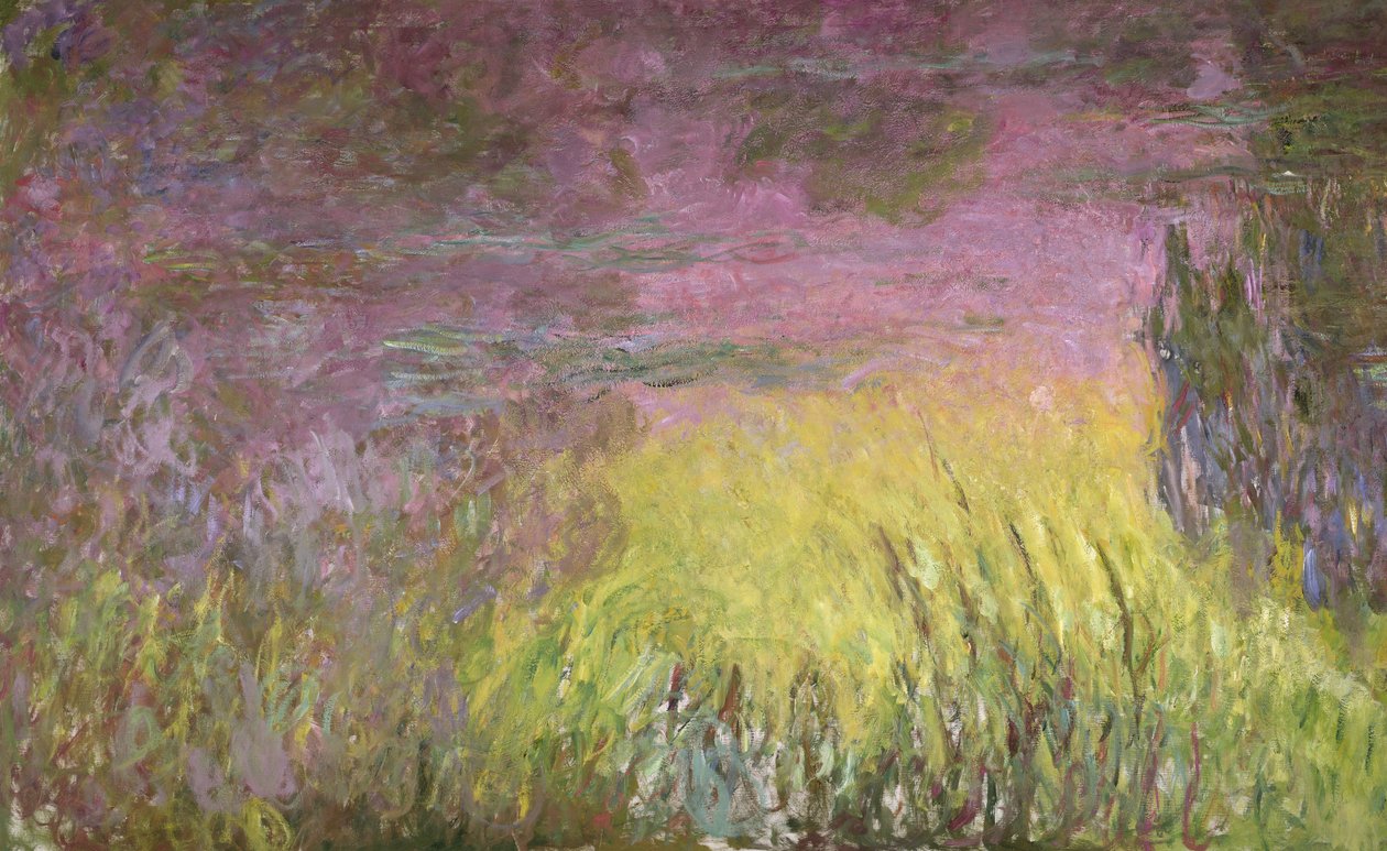 Lummet auringonlaskun aikaan, 1915-26 (yksityiskohta vasemmasta reunasta) tekijältä Claude Monet