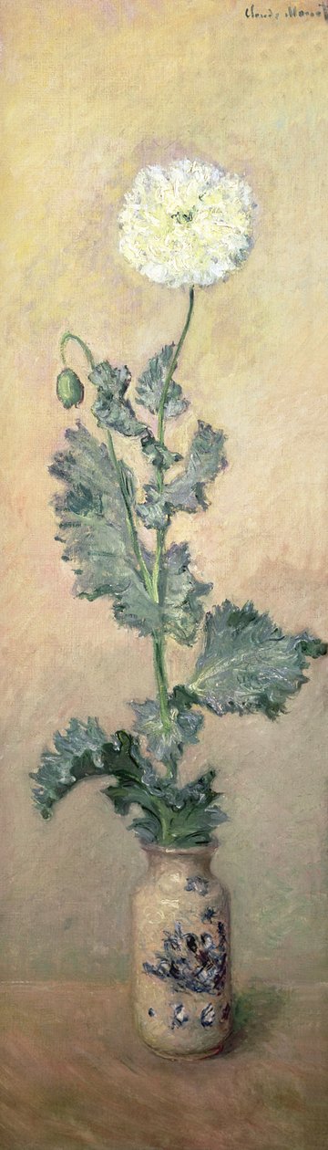 Valkoinen unikko, 1883 tekijältä Claude Monet