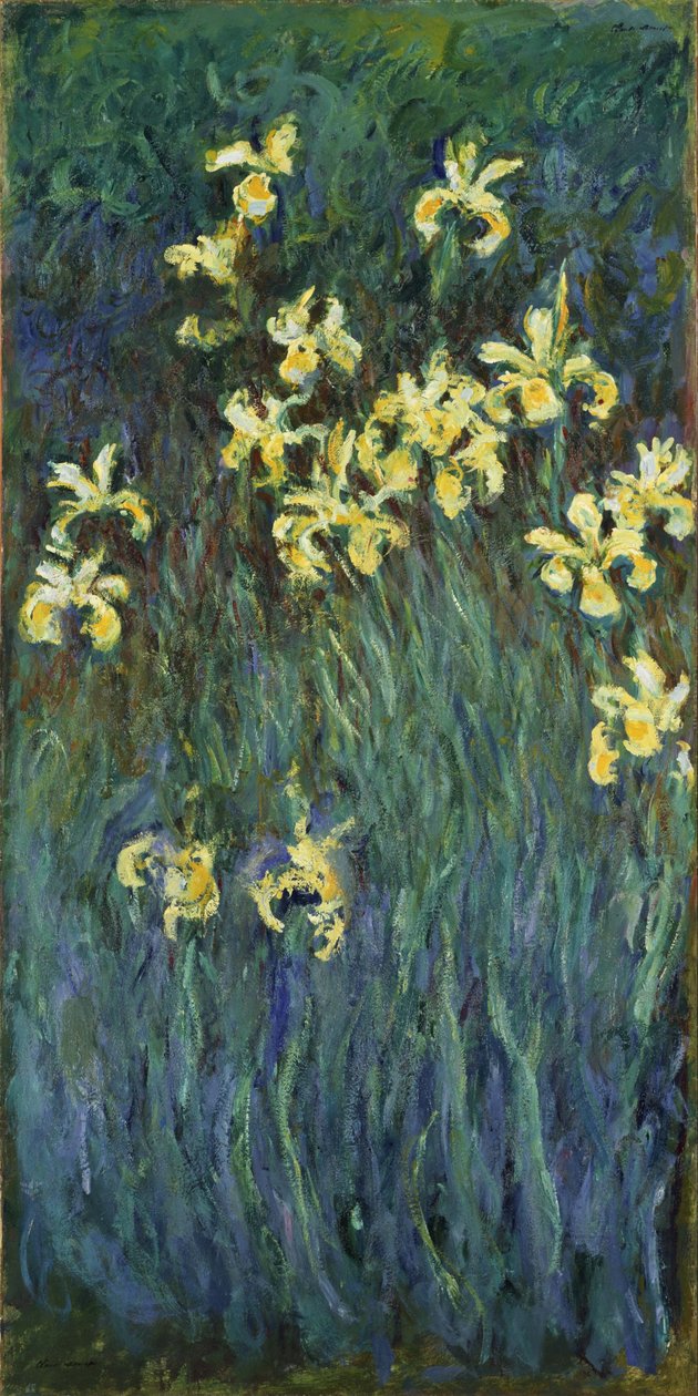 Keltaiset iirikset tekijältä Claude Monet