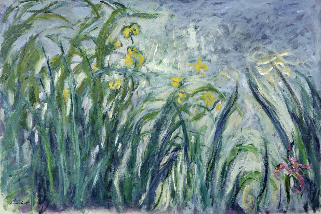 Keltaiset ja violetit iirikset, 1924-25 (katso yksityiskohta 414407) tekijältä Claude Monet