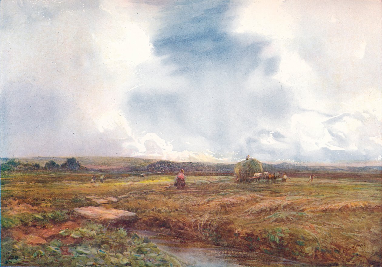 The Hayfield, 1872-1906, 1906. tekijältä Claude Hayes