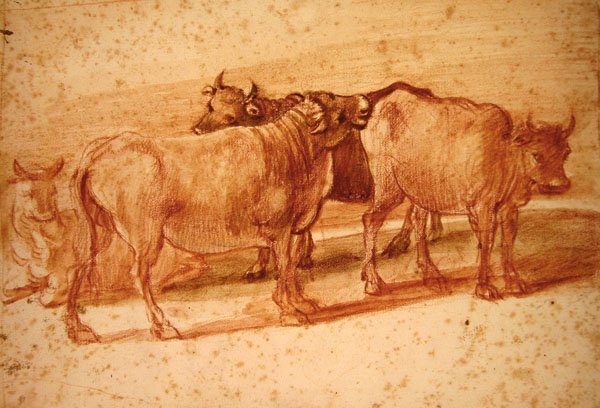 Lehmät (punainen liitu paperille) tekijältä Claude Lorrain