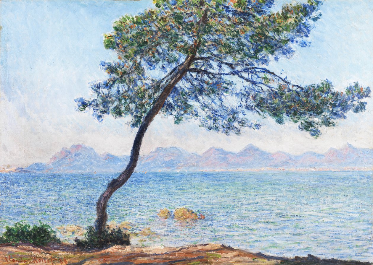 Huonekalut ja erilaiset esineet 1100- ja 1300-luvuilta tekijältä Claude Monet