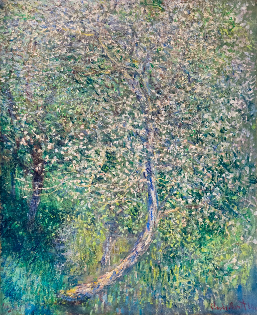 Omenapuut kukkivat veden äärellä tekijältä Claude Monet