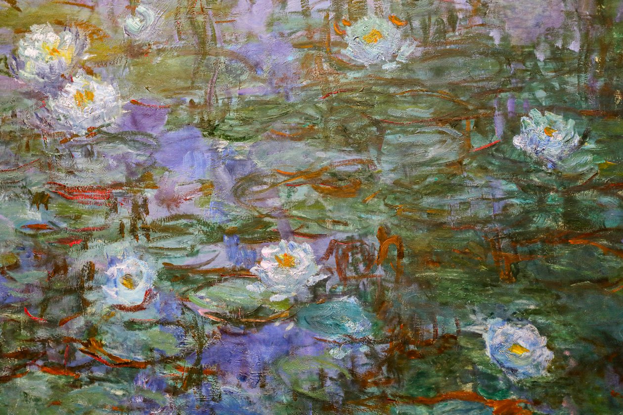 Siniset lumpeet (yksityiskohta) tekijältä Claude Monet