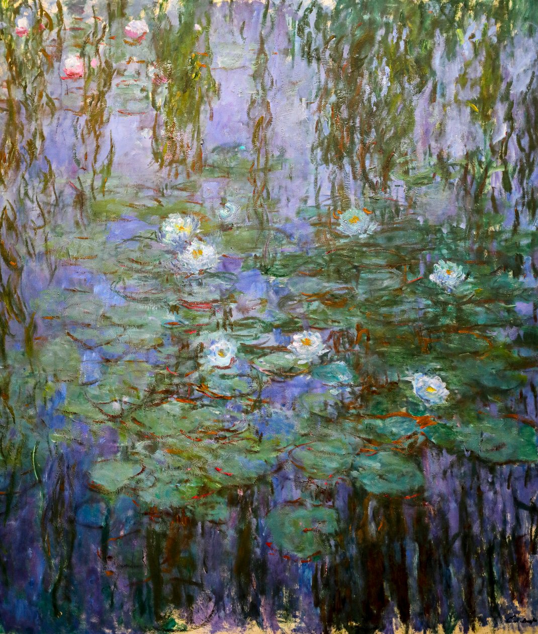 Siniset lumpeet (yksityiskohta) tekijältä Claude Monet