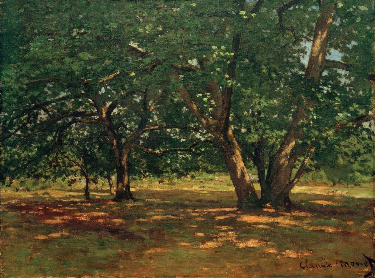 Forêt de Fontainebleau tekijältä Claude Monet