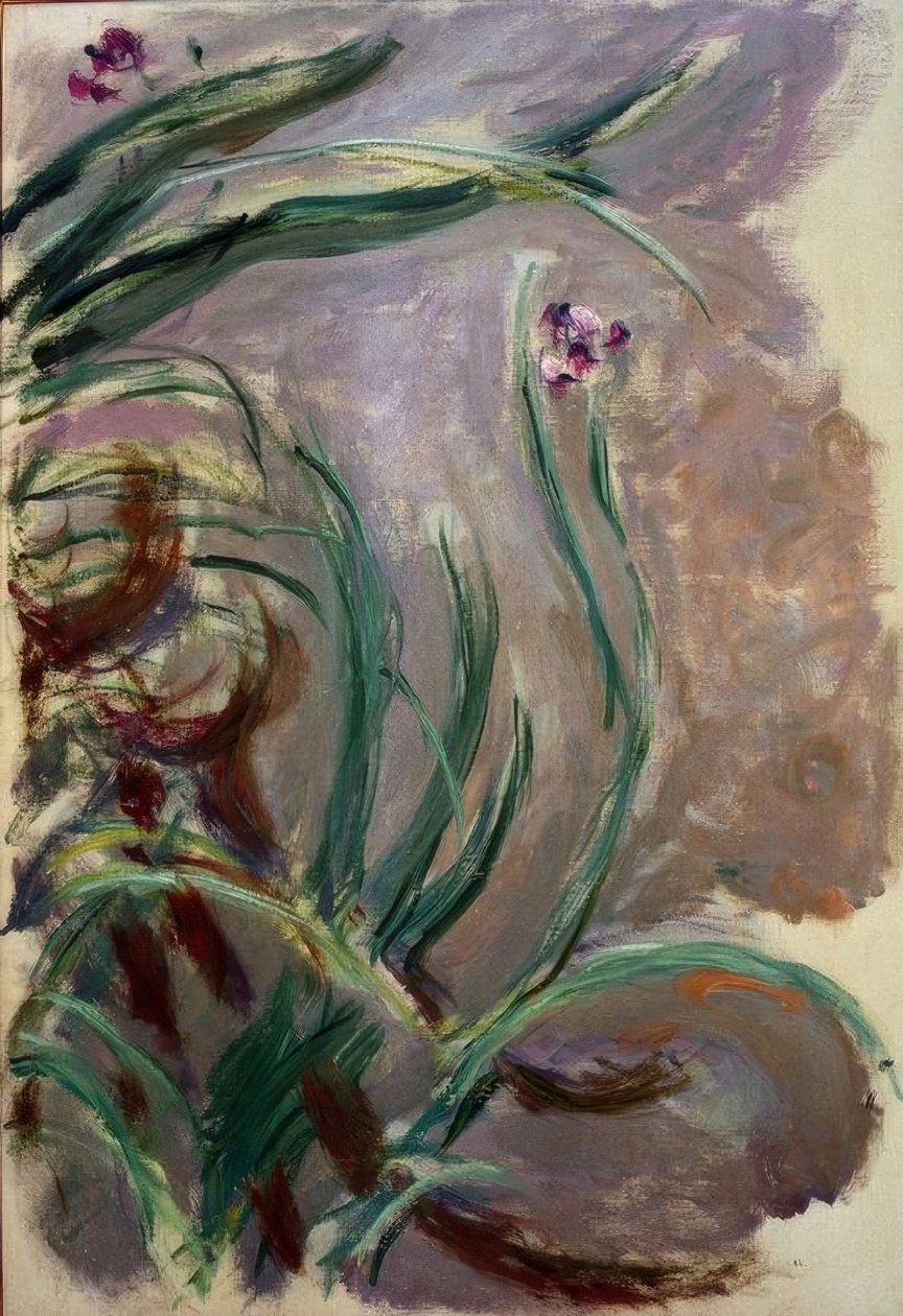 Iris (Irises) tekijältä Claude Monet