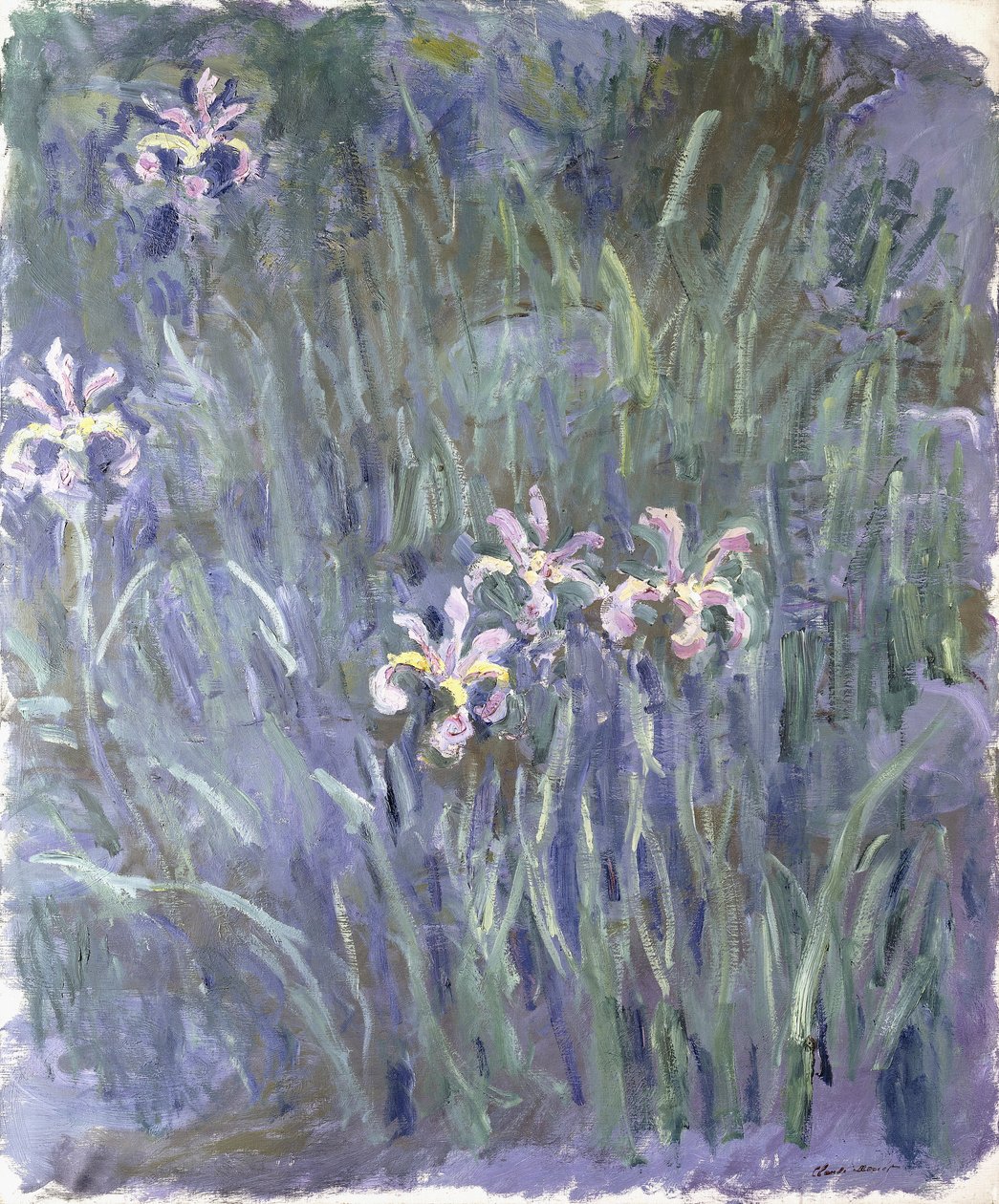 Iris, n. 1914-1917 tekijältä Claude Monet