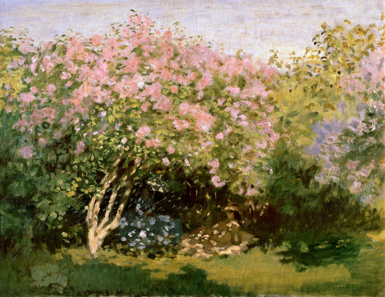 Lila auringossa, 1872-1873. tekijältä Claude Monet