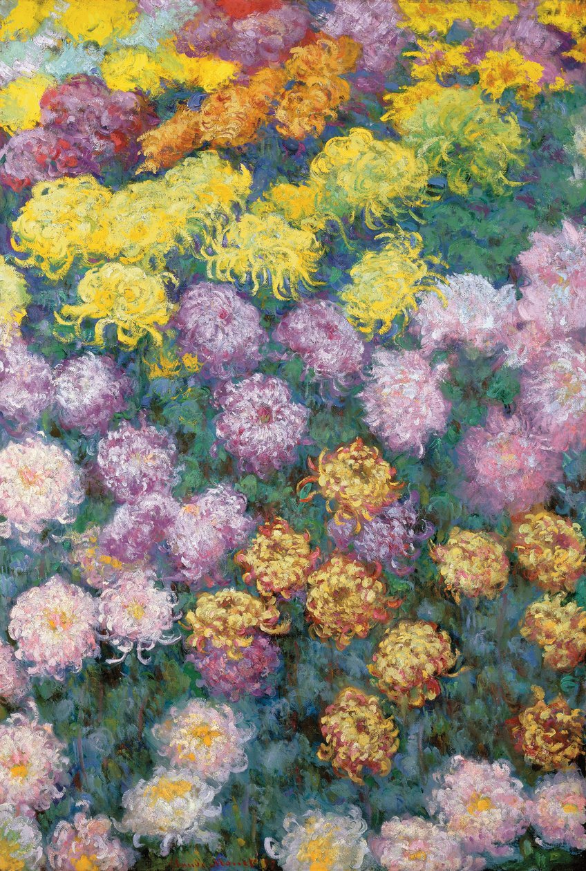 Massif de Chrysanthemes tekijältä Claude Monet