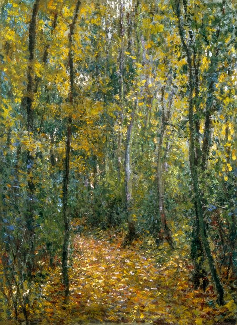 Sousbois tekijältä Claude Monet