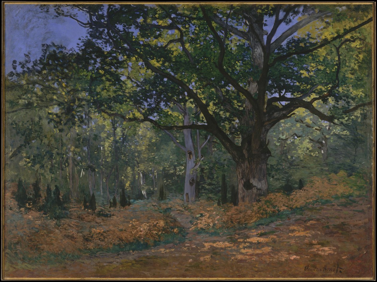 Bodmer Oak, Fontainebleaun metsä, 1865 tekijältä Claude Monet