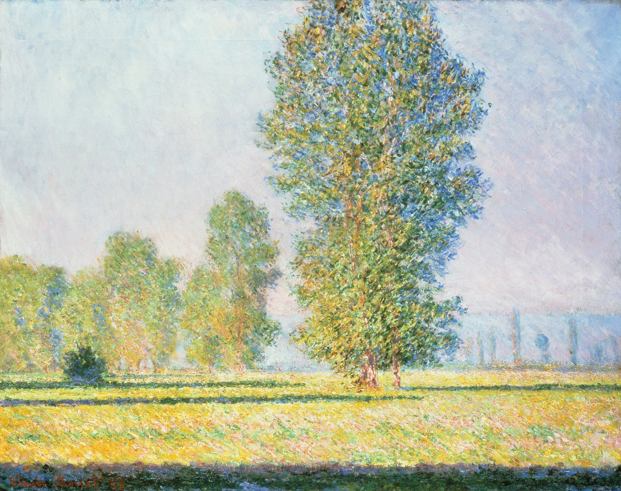Limetzin niitty tekijältä Claude Monet