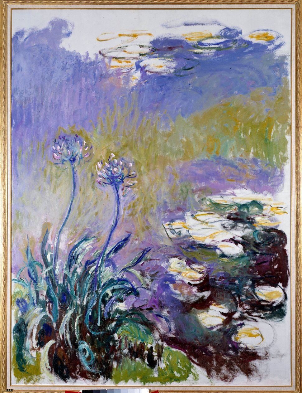 Agapanthus tekijältä Claude Monet