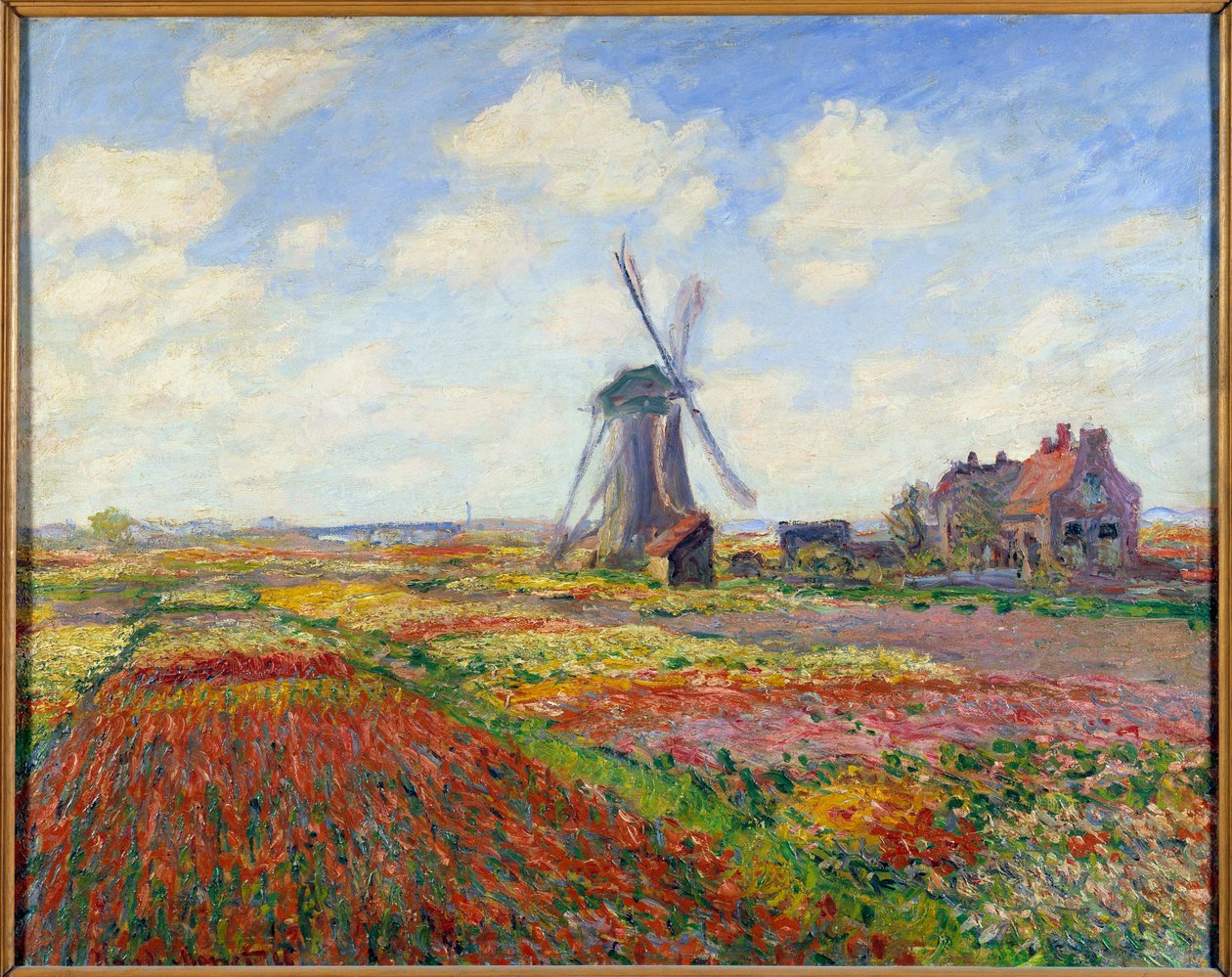 Tulppaanipellot Hollannissa (tuulimyllyllä) tekijältä Claude Monet