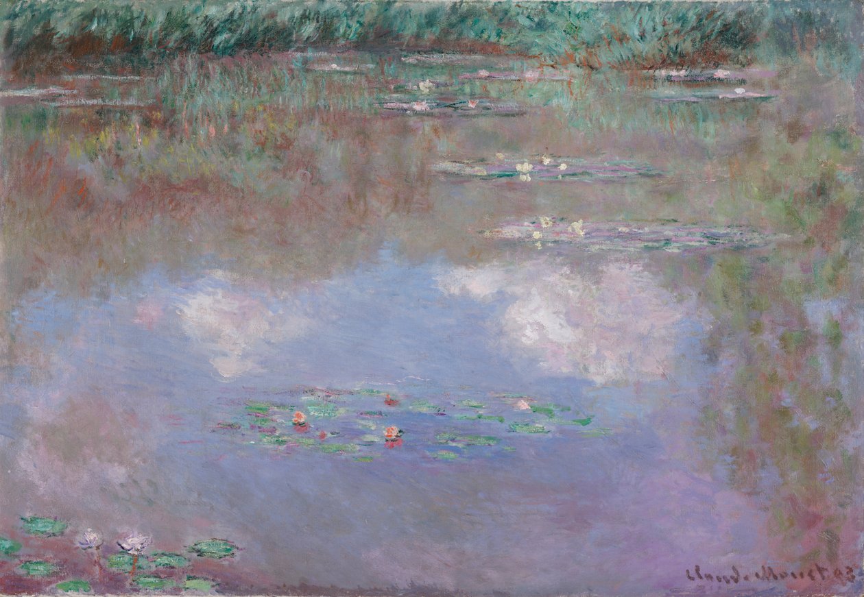 Vesililjat, pilvi, 1903 tekijältä Claude Monet