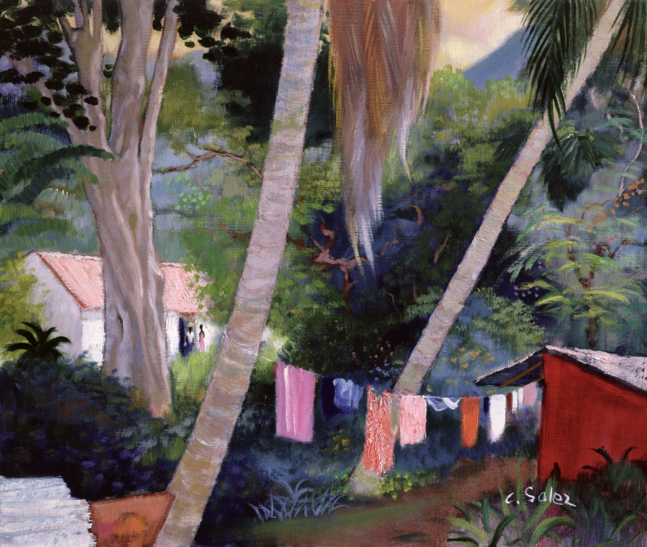 Kuivauspesu, Guadeloupe tekijältä Claude Salez