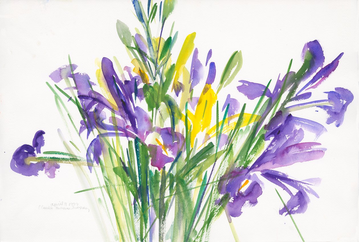 Irises, 1999, (akvarelli paperille) tekijältä Claudia Hutchins Puechavy