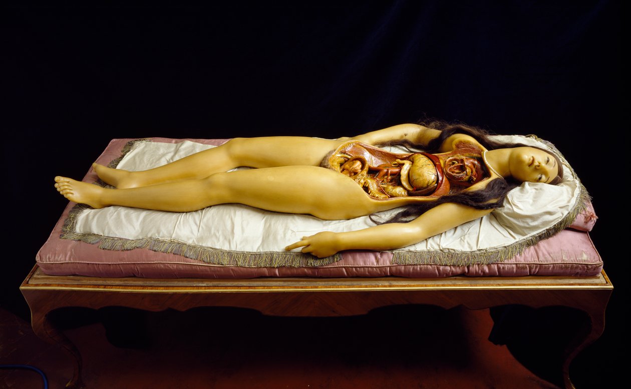 "The Dismantable Venus", anatominen malli (vaha) tekijältä Clemente Susini