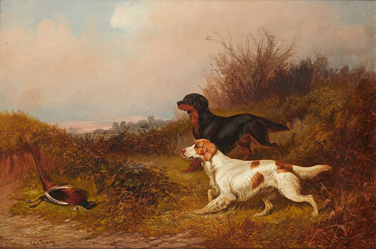 Retrievers at Work (öljy kankaalle) tekijältä Colin Graeme