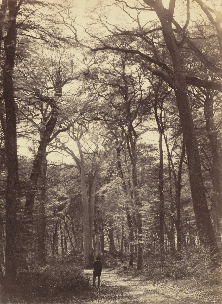 Metsäkohtaus, c. 1865. tekijältä Constant Alexandre Famin
