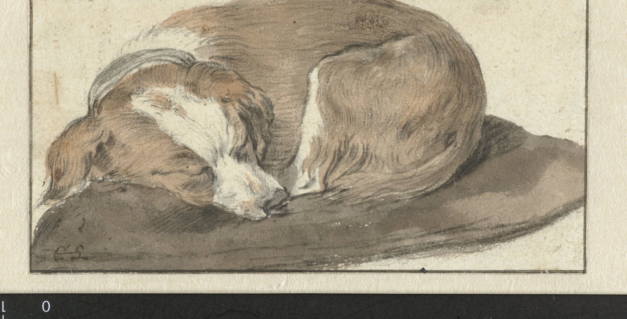 Nukkuva Koira tekijältä Cornelis Saftleven