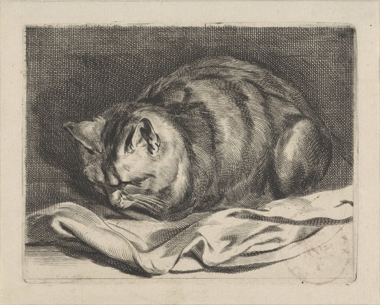 pieni kissa tekijältä Cornelis Visscher (II)