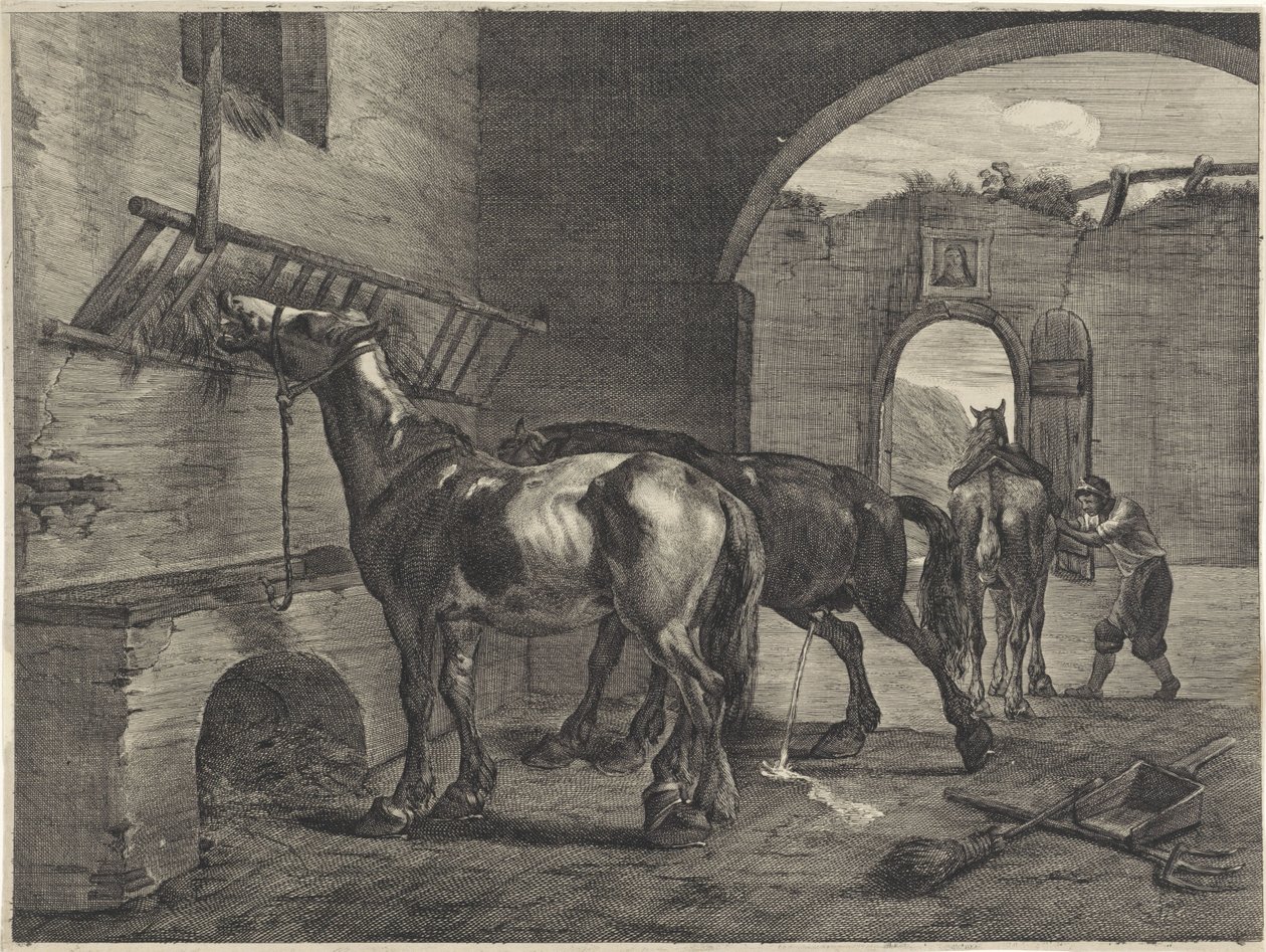 Vakaa tekijältä Cornelis Visscher (II)